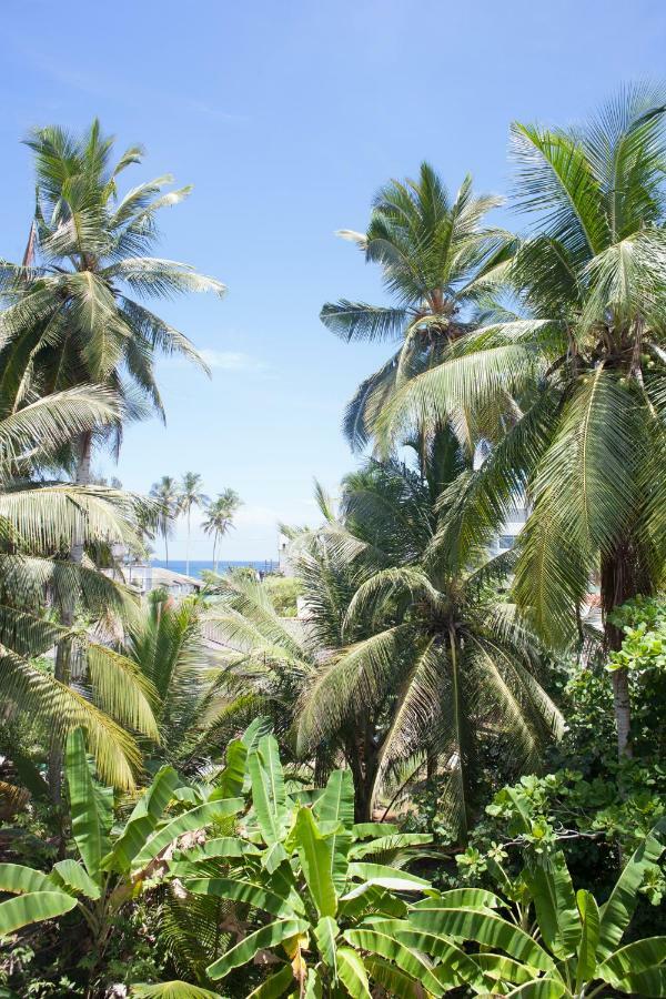 Alvas House Hotel Hikkaduwa Buitenkant foto